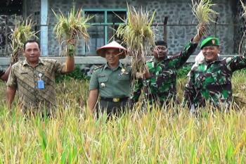 Kasdim 0821 dan UPT Pertanian Pasirian Gelar Pane Raya